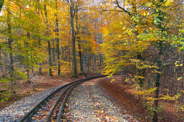 railroad in autumn forest