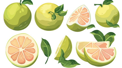 Set of ripe pomelo isolated on white Vector style Vector