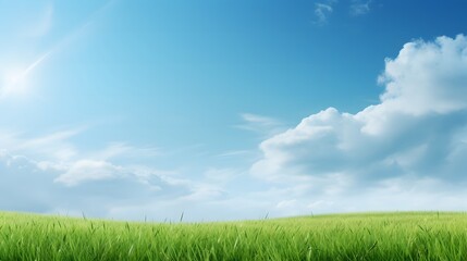 Obraz premium green field background with grass and sky