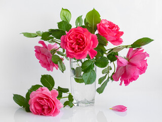 bouquet of pink garden roses on a white background