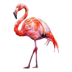 Flamingo, Bird Illustration. Watercolor Style. AI Generated