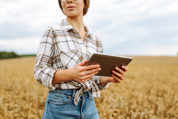 Young woman  farmer in wheat field during harvest in summer with tablet. Growth dynamics. Agriculture, gardening, business or ecology concept.
