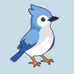 Vector illustration of a cute BlueJay for toddlers