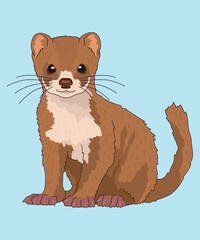 Weasel Least Weasels Sitting Side View