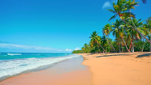 Paradise beach with palm trees on a sunny summer day - beautiful and tropical Caribbean coastline in Tulum in Quintana Roo, Riviera Maya, Cancun, Mexico. Nature landscape of a sea island.