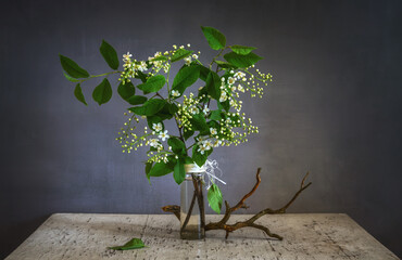 A small bouquet with blooming fragrant bird cherry and a dry branch. Minimalism.
