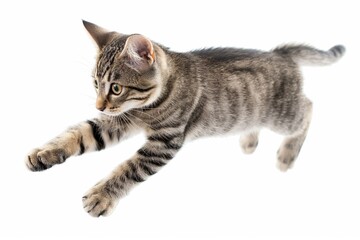 Tabby cat in mid-jump with focused gaze, isolated on white background