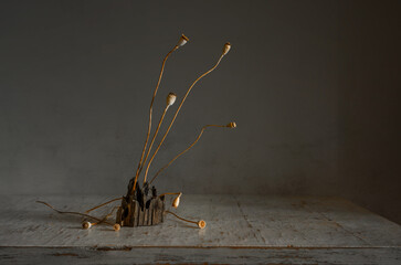 Dried poppy stems in a dried piece of wood. Minimalism.