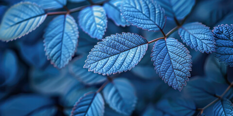 Stunning close-up of vibrant blue leaves with intricate textures and delicate veins, highlighting the beauty of nature in a surreal, almost metallic finish.