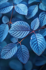 Stunning close-up of vibrant blue leaves with intricate textures and delicate veins, highlighting the beauty of nature in a surreal, almost metallic finish.