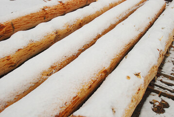 Logs and lumber at the sawmill