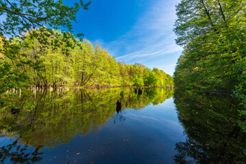 Hubertlaki lake alias Killer lake in Bakony Forest, Hungary