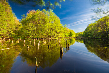 Hubertlaki lake alias Killer lake in Bakony Forest, Hungary