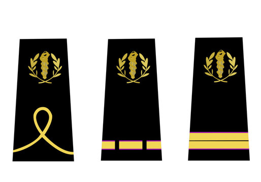Ensemble des galons de l'arm&eacute;e de terre fran&ccedil;aise du personnel de sant&eacute; des arm&eacute;es: M&eacute;decin militaire: &eacute;l&egrave;ve officier, aspirant m&eacute;decin, interne