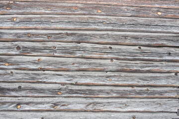 Obraz premium Wood texture