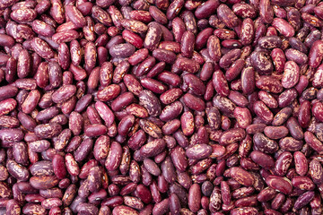 Uncooked, red and white kidney beans background. Top view