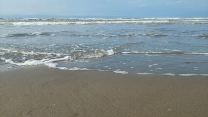 Sea and Animals