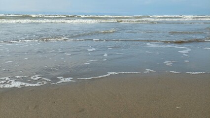 Sea and Animals
