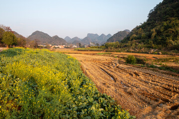 fields in winter