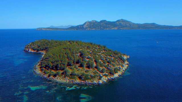 Essential Shake Transition Pack (12 transitions)	