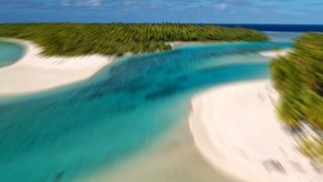 Essential In and Out Bouncy Transition Pack (30 transitions)	