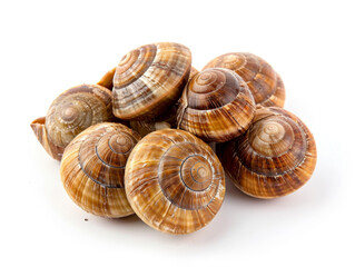 A pile of small, brown shells with a white background