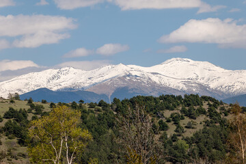 Fototapeta premium mount hood state