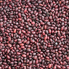 Seamless texture of beans