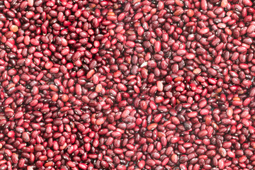 Seamless texture of beans