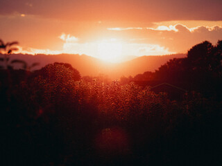 Picturesque sunset over a majestic mountain range with lush trees in the foreground.