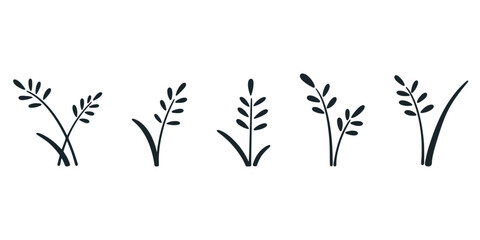 Set of wheat, rice, barley, oat spikelets icon. Hand drawn ink crops growth. Wheat symbol, vector graphic