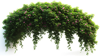 Botanical Arch with Pink Blooms