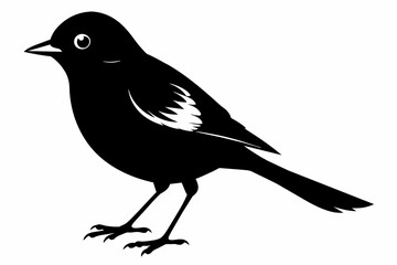 A flycatcher bird silhouette black vector artwork illustration