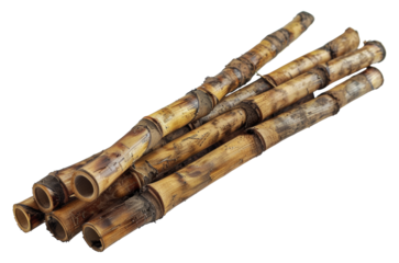 Stack of cut bamboo logs, cut out - stock png.