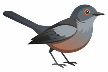 A beautiful catbird vector artwork illustration 