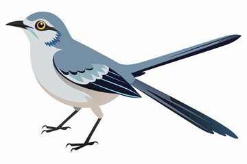  A beautiful mockingbird vector artwork illustration