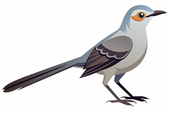 recommend clip art:  A beautiful mockingbird vector artwork illustration