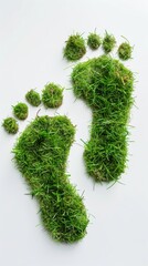 The image is a creative representation of a pair of feet made out of grass. The idea behind this image is to convey the importance of taking care of the environment and preserving nature