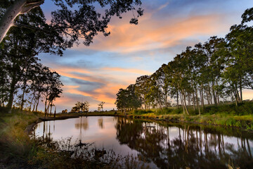 a lake surrounded by trees at sunset, near trees and grass