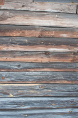 Fototapeta premium Wood texture