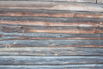 Fototapeta premium Wood texture