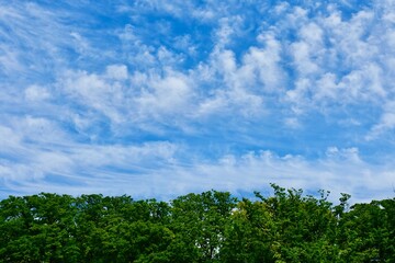 爽やかな青空と白い雲と緑の木々