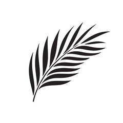 Obraz premium Palm Leaf Silhouette