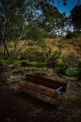 Landscape_volcanic_Ancient_organpipes