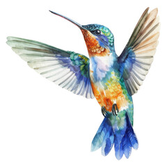 Fototapeta premium Hummingbird, Bird Illustration. Watercolor Style. AI Generated