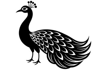 peacock vector silhouette illustration