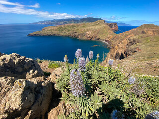 Fantastic view of Point of Saint Lawrence in the north-east of Madeira, Portugal