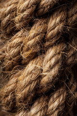 Close-up of a piece of rope, showcasing its twisted texture and natural fibers.