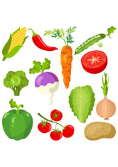 Set digital collage of different fresh vegetables
