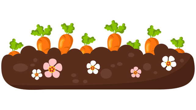 orange carrots growing in brown soil clip art preview